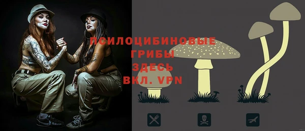 таблы Магас