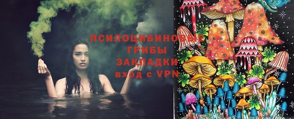 бутират Майский