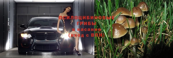 бутират Майский