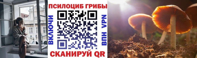 купить   omg ссылки  Галлюциногенные грибы Psilocybine cubensis  Нижний Ломов 